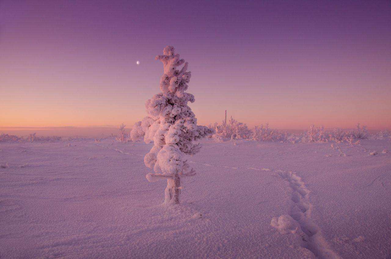 , Денис Абрамов