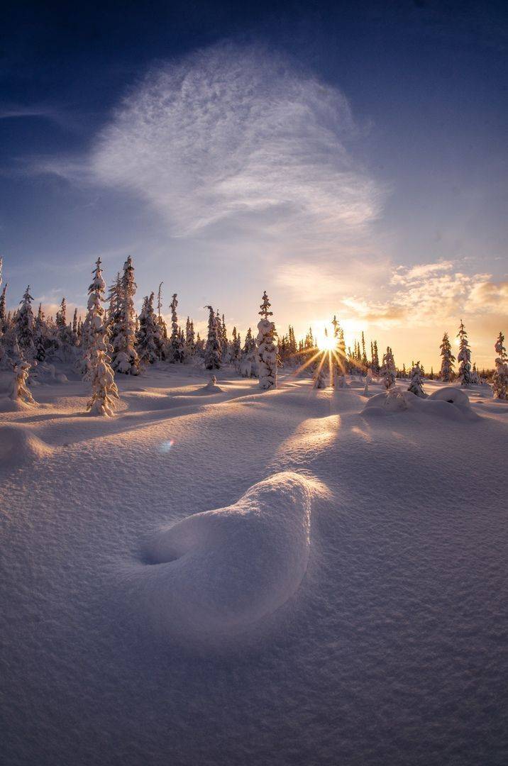 , Денис Абрамов