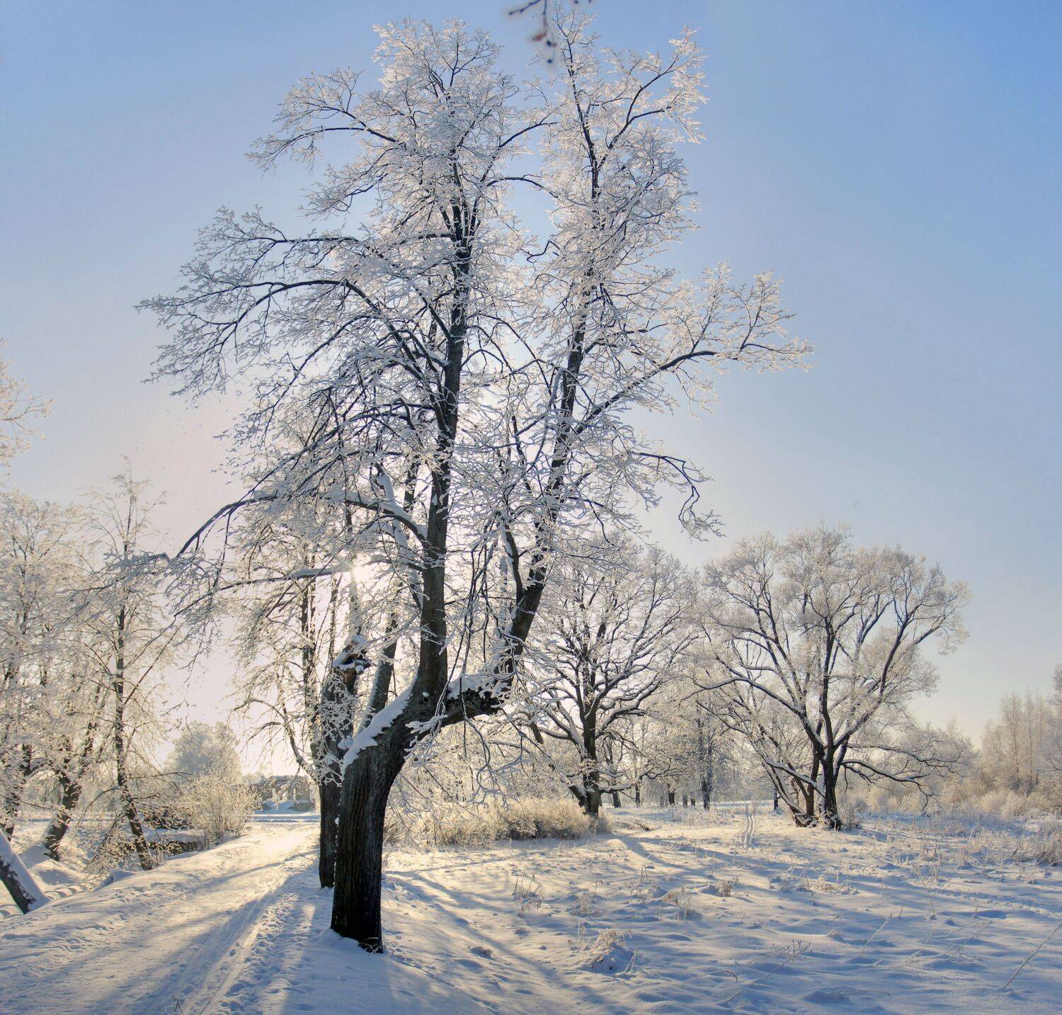 , Сергей Григорьев