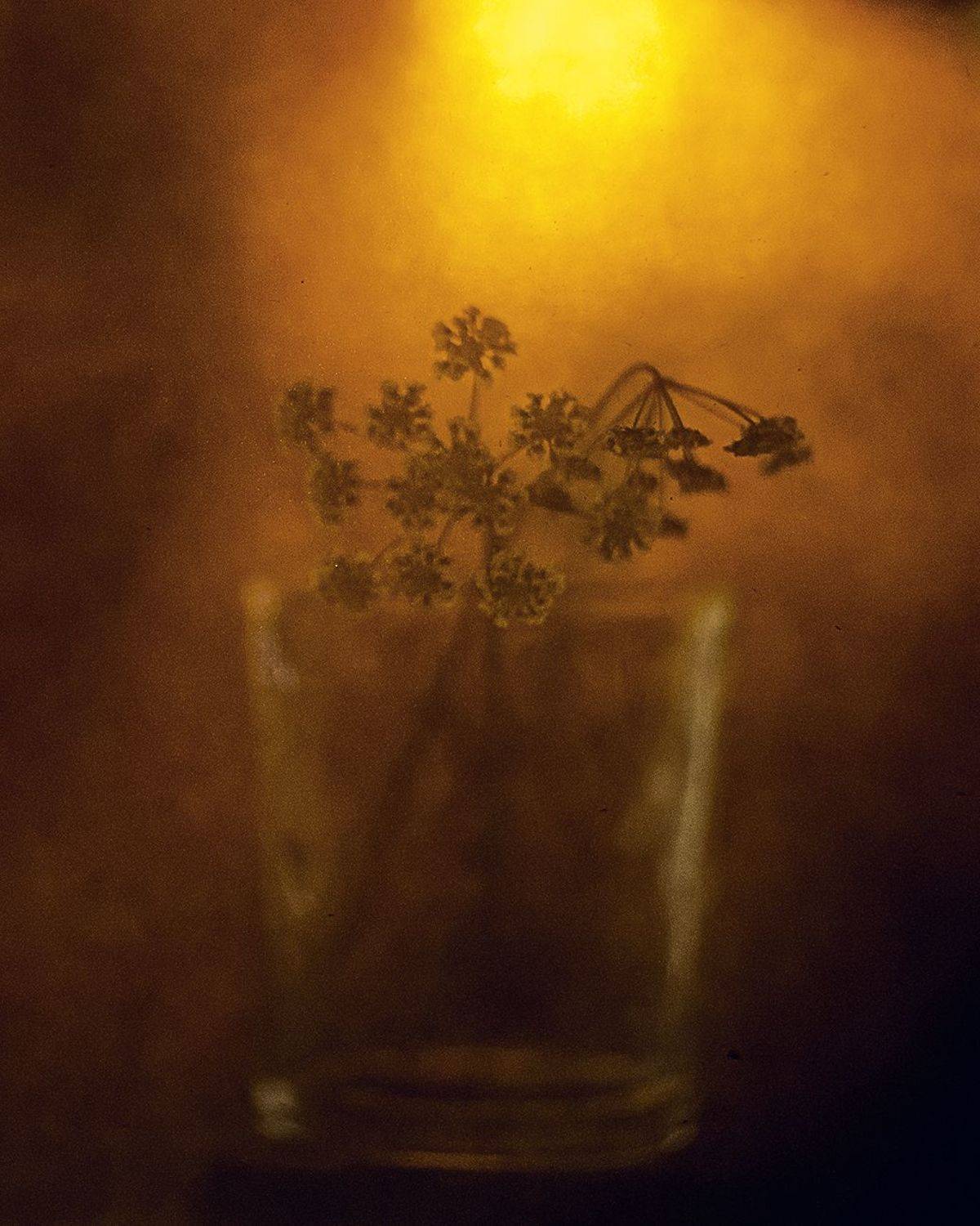 , Татьяна Аверина