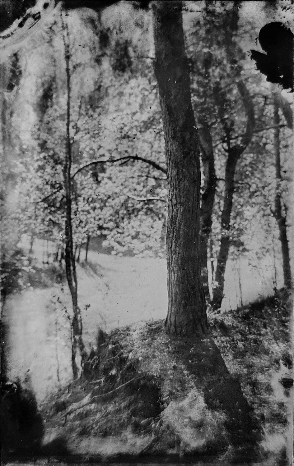 амбротип,  плёнка, средний формат, пейзаж, большой формат., Сергей Кондрюк