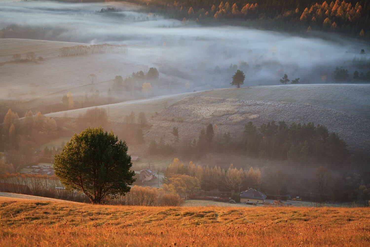 ,  Mirosław Pruchnicki