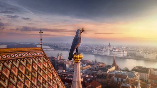 Ворон с кольцом