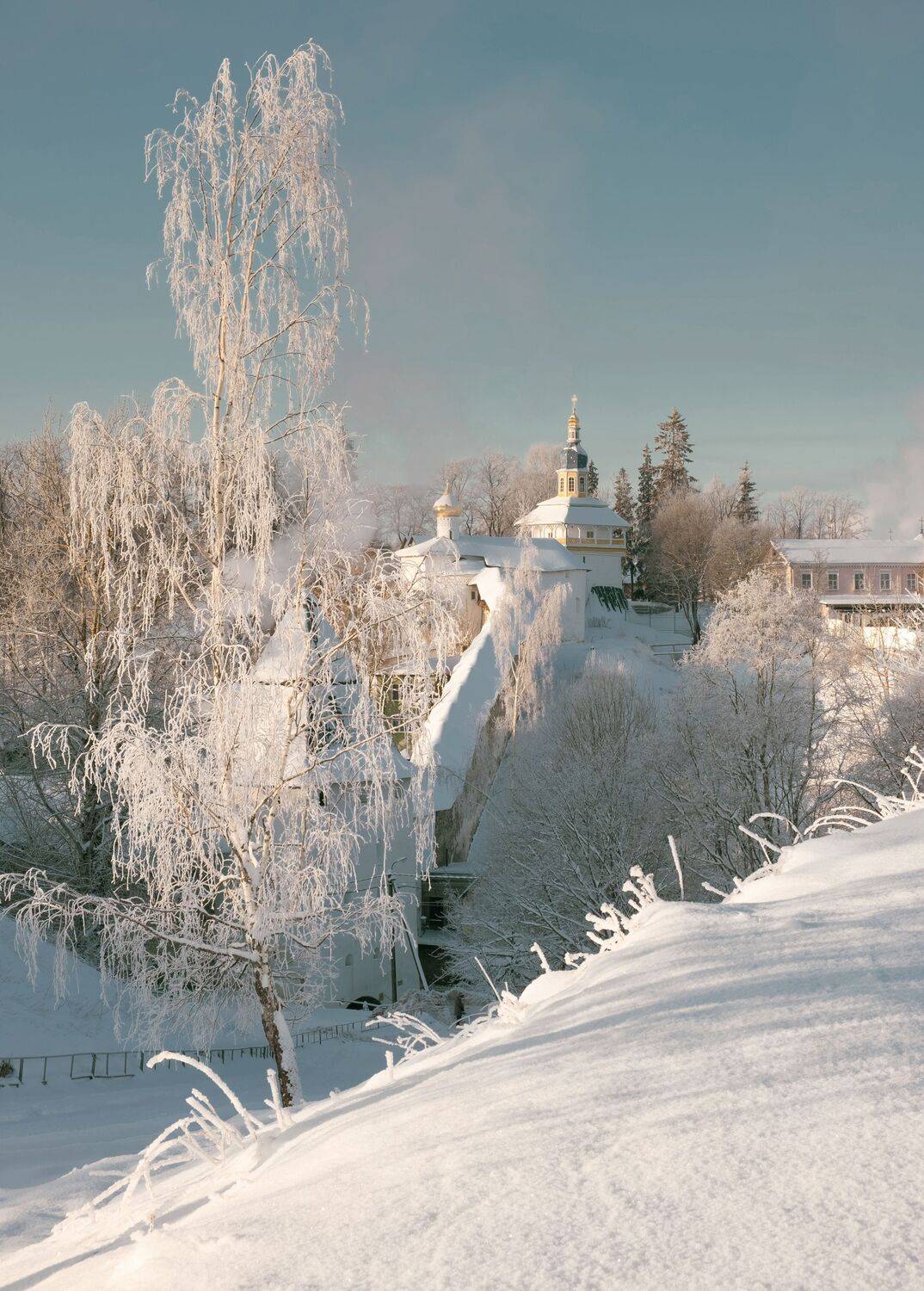 , Светлана Краюшкина