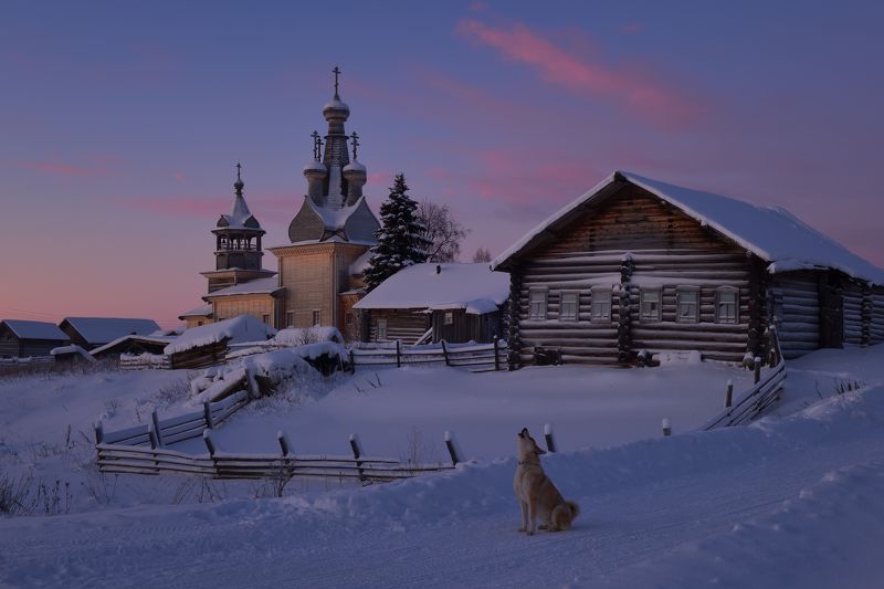 Прощальная песнь... фото превью