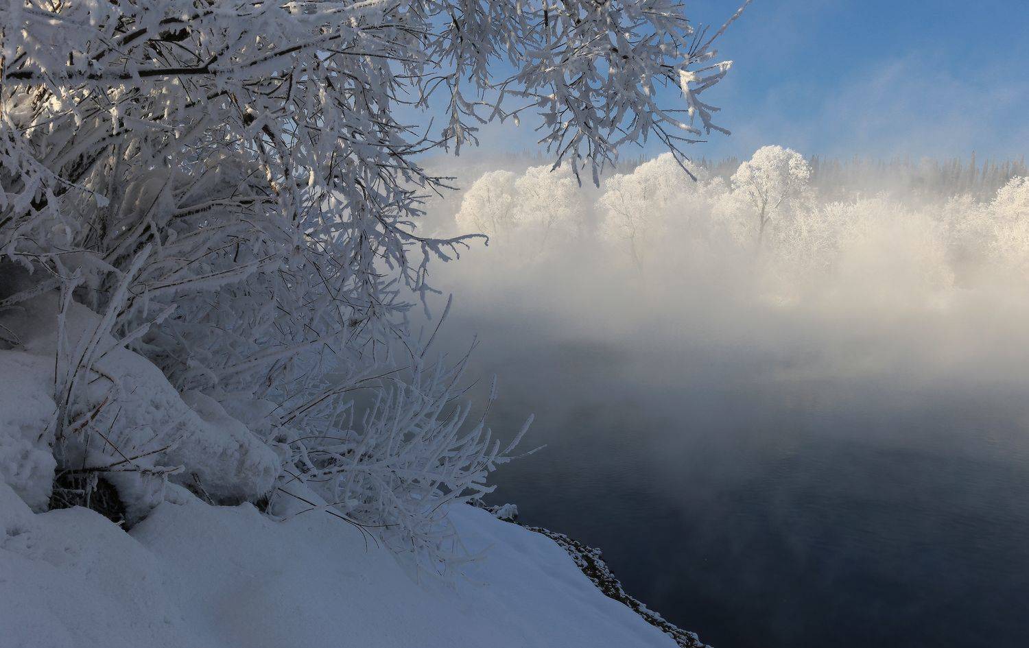 , Галина Хвостенко