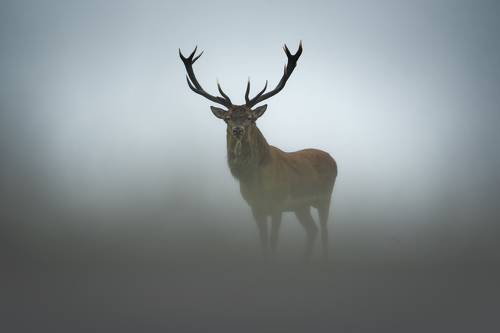 Эфемерность