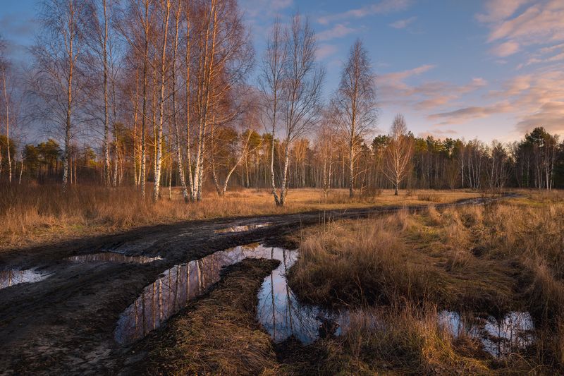 луг зима январь лужи закат Март в январе фото превью