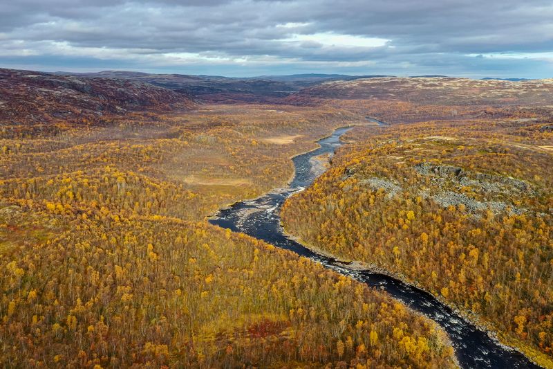 Западная Лица фото превью