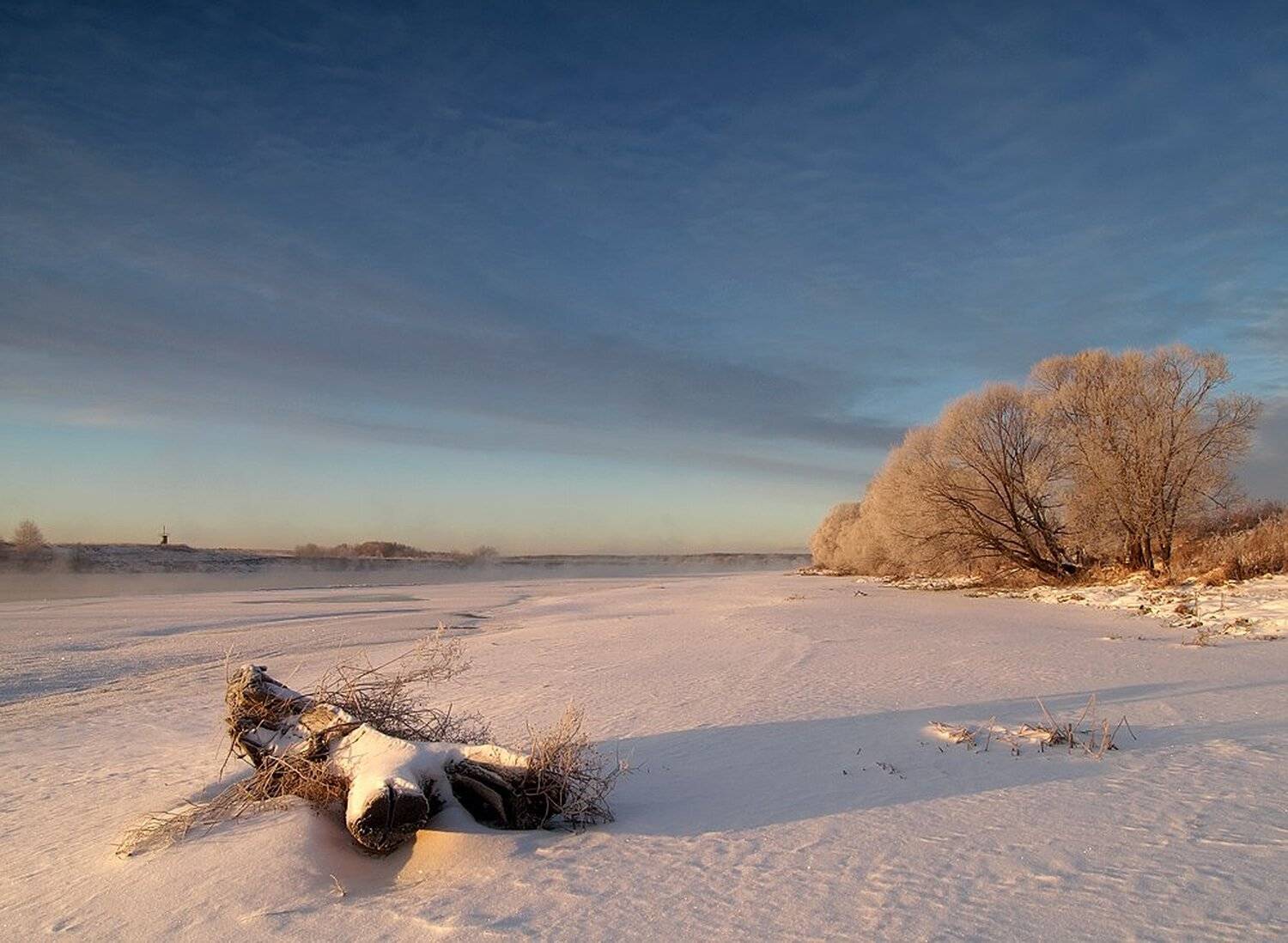, Максим Евдокимов