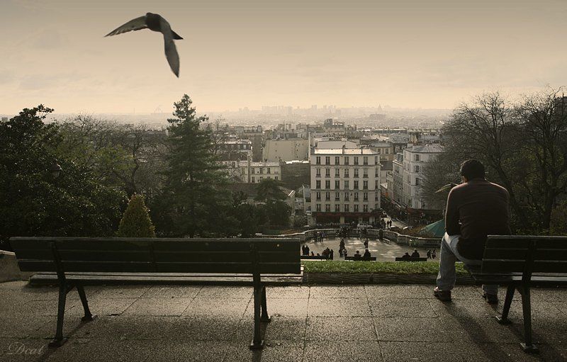 франция, , париж, утро, встречать, монмартр, голубь Встретить утро в Париже.. фото превью