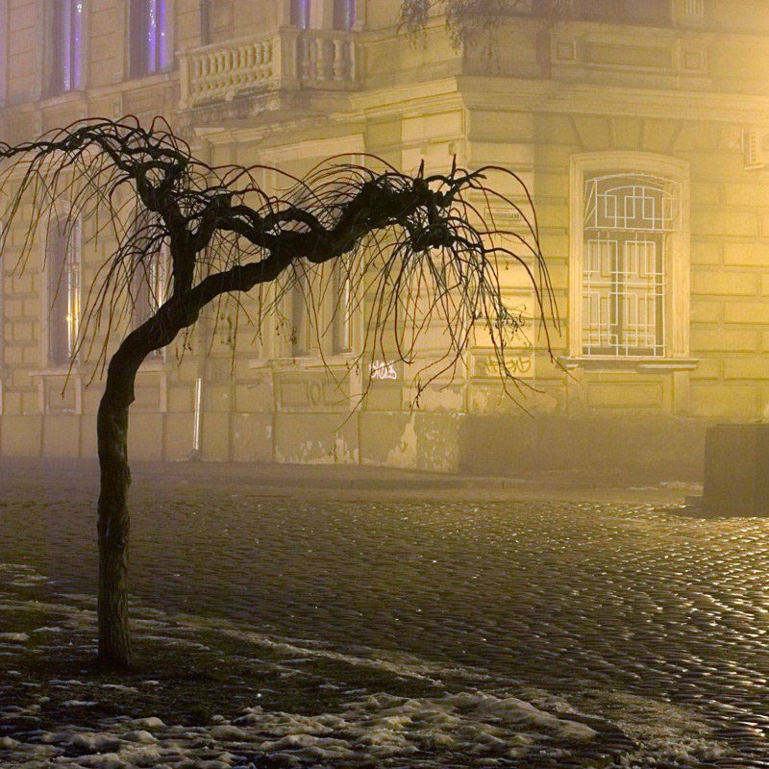 пейзаж, город, зима, ночь, туман, , дерево, одиночество, грусть, lad_i_mir, lad_i_mir