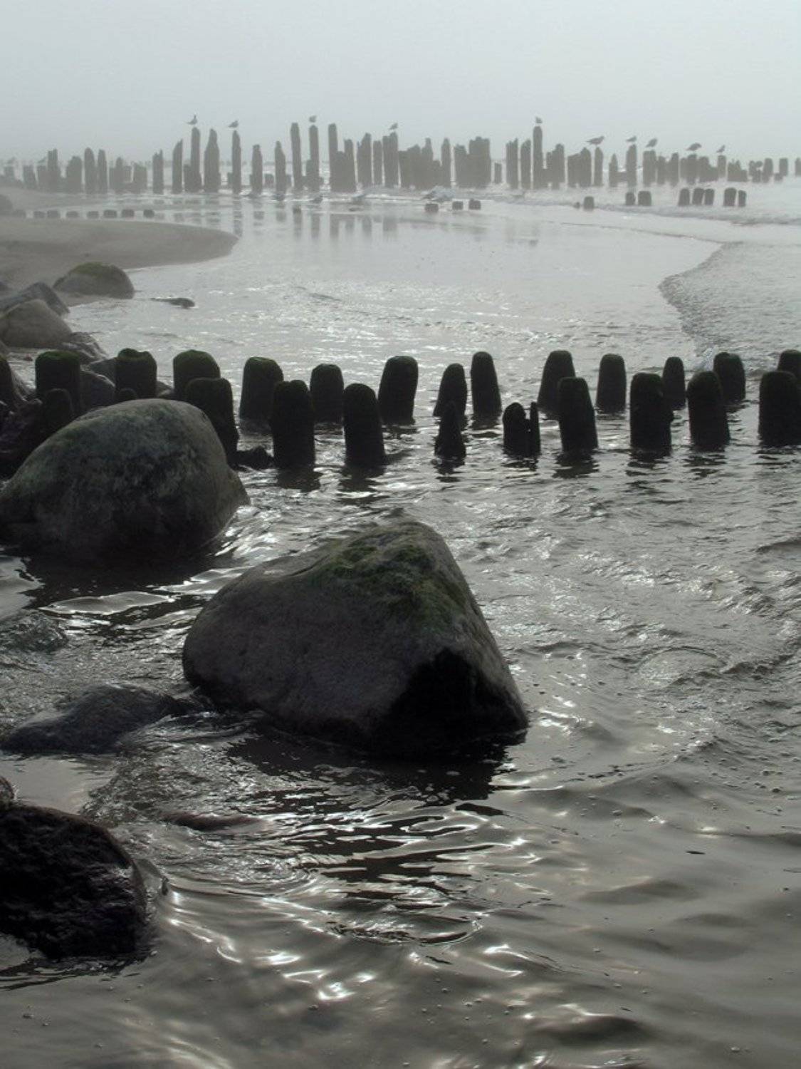 , Павел Дунюшкин