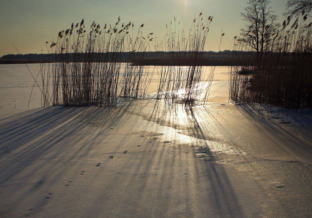 , Павел Дунюшкин