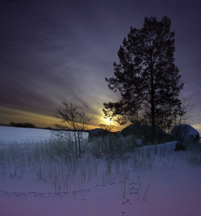 вуокса, Viktor Kalechenkov