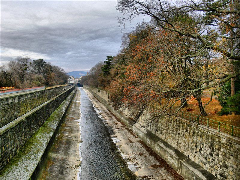 Вена фото превью