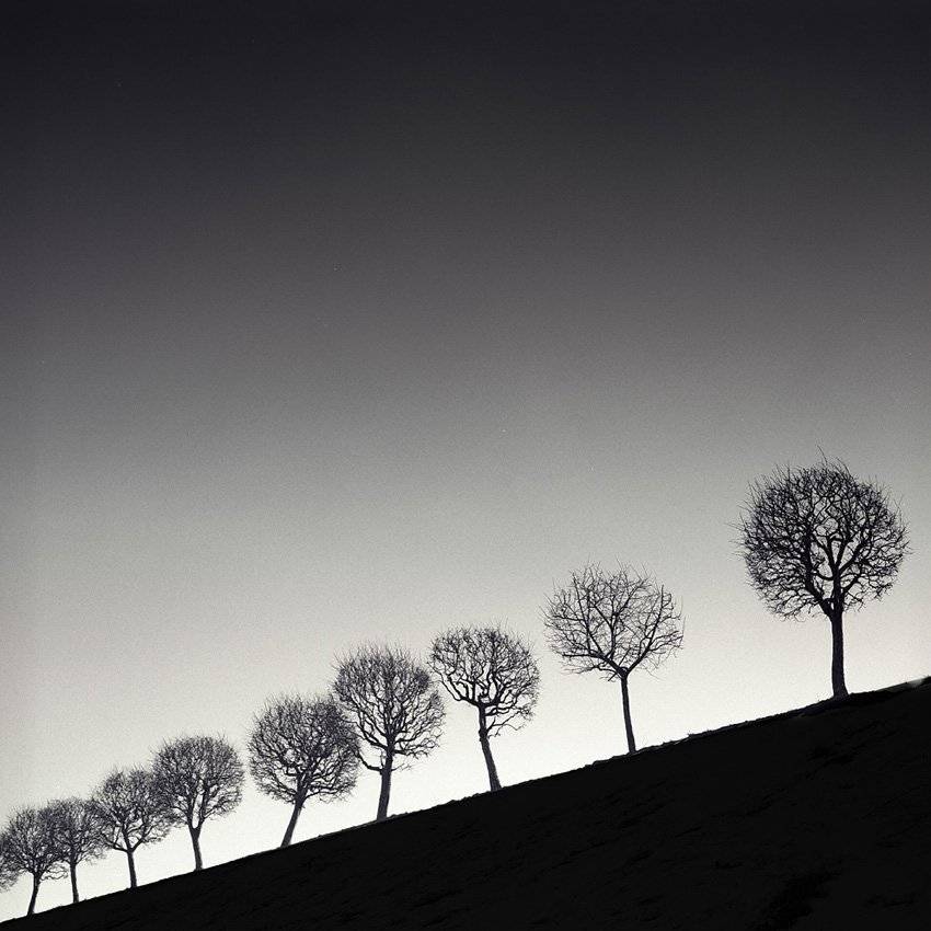 , Токарь Дмитрий