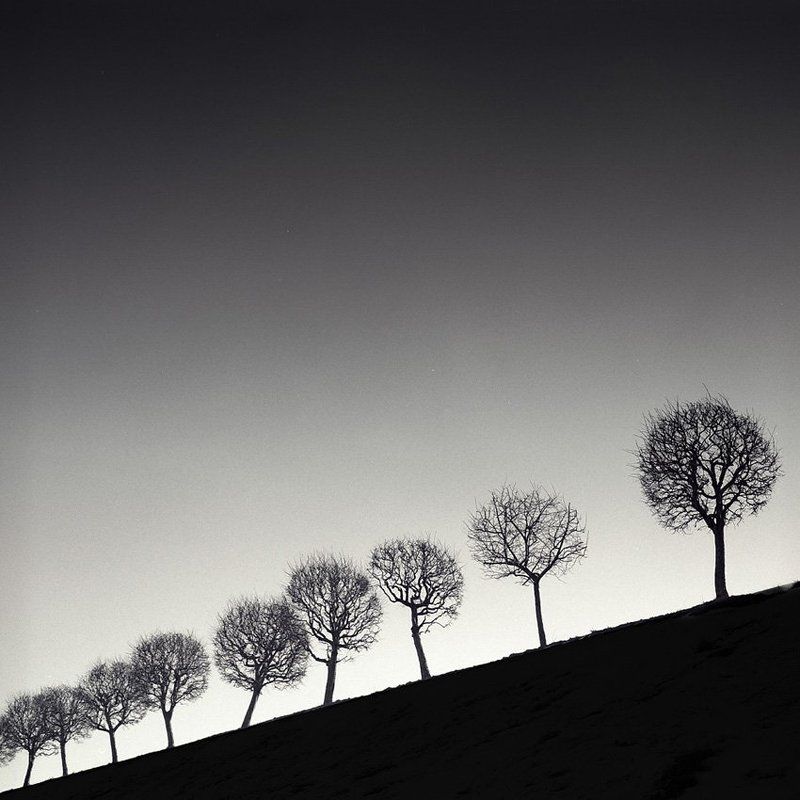 St. Petersburg фото превью