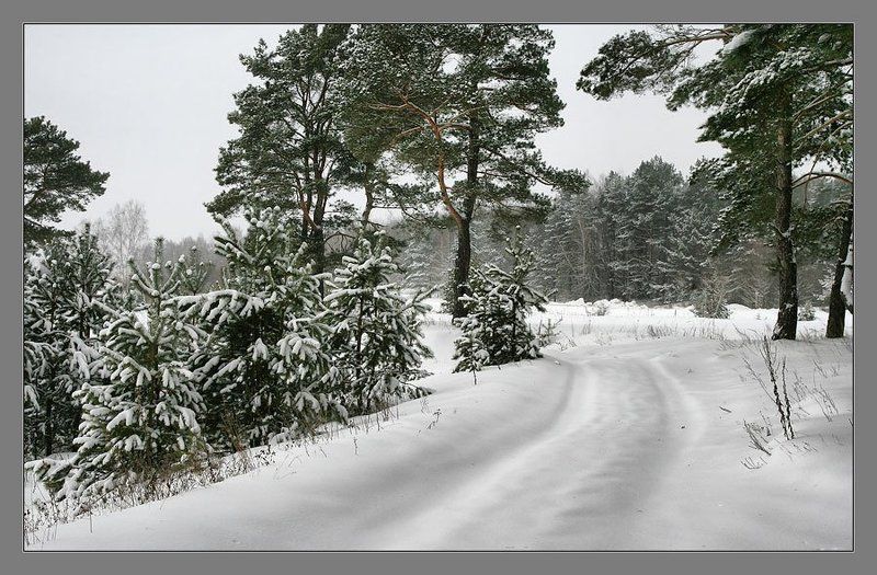 Заметает... фото превью