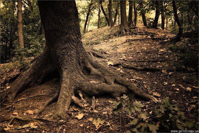 , Leonid Sydorenko(ge100)