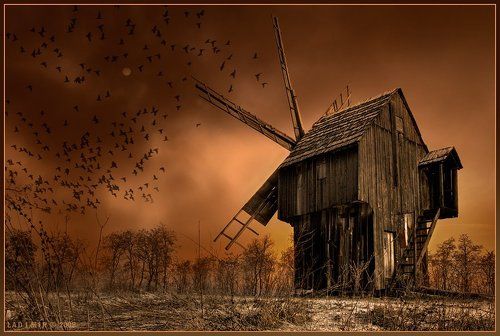 Маг на поле ветров