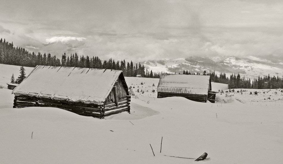 карпаты, природа, пейзаж, паноорама, зима, Piligrim