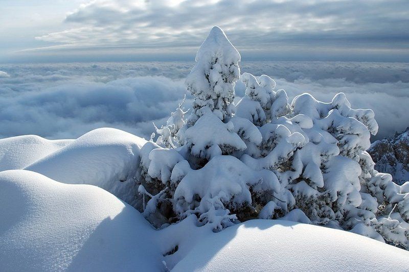 крым, зима *** фото превью