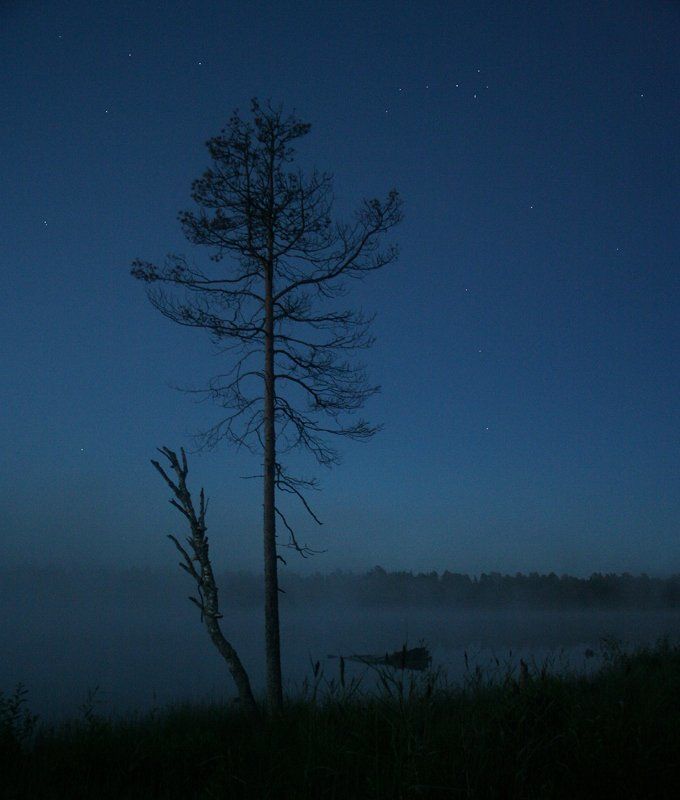 карелия, ночь Карельская фото превью