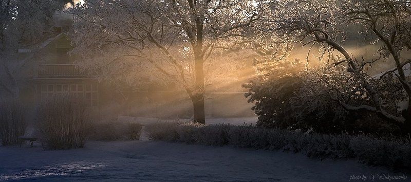 хаапсалу, вечер, свет, структура, тонкая, лукьяненко Тонкая структура света фото превью