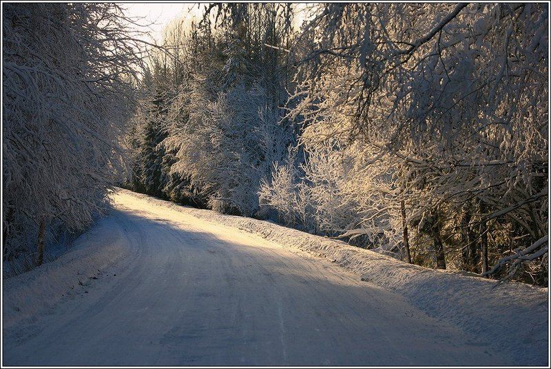 зима, свет, иней, дорога Поворот фото превью