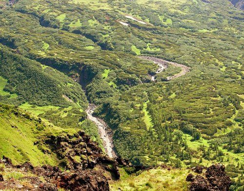 В поисках Хоббитов