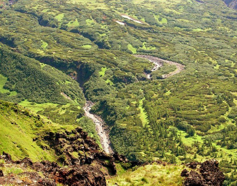 камчатка,шестое копыто,лес,высота В поисках Хоббитов фото превью