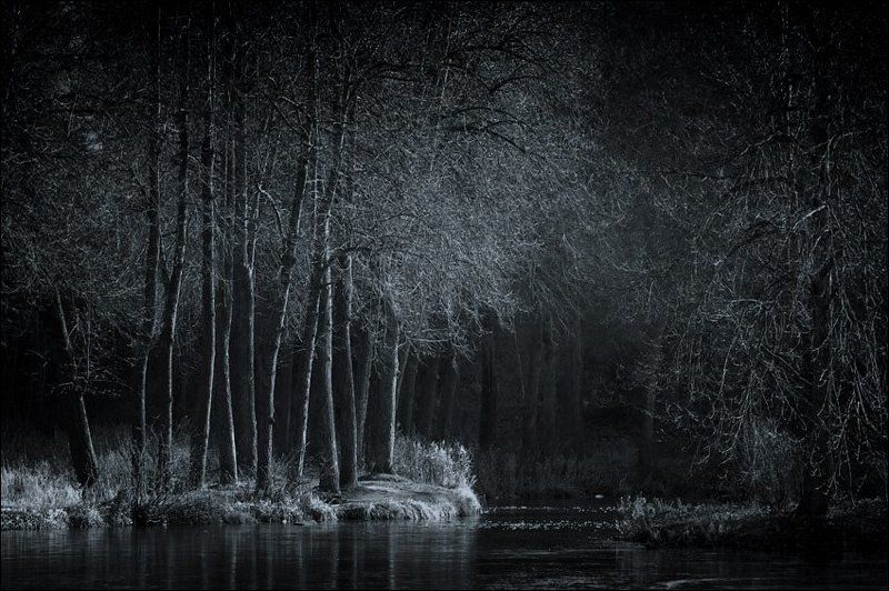 Темная синеватая контрастная ноябрьская картинка с деревьями у середниковского пруда фото превью