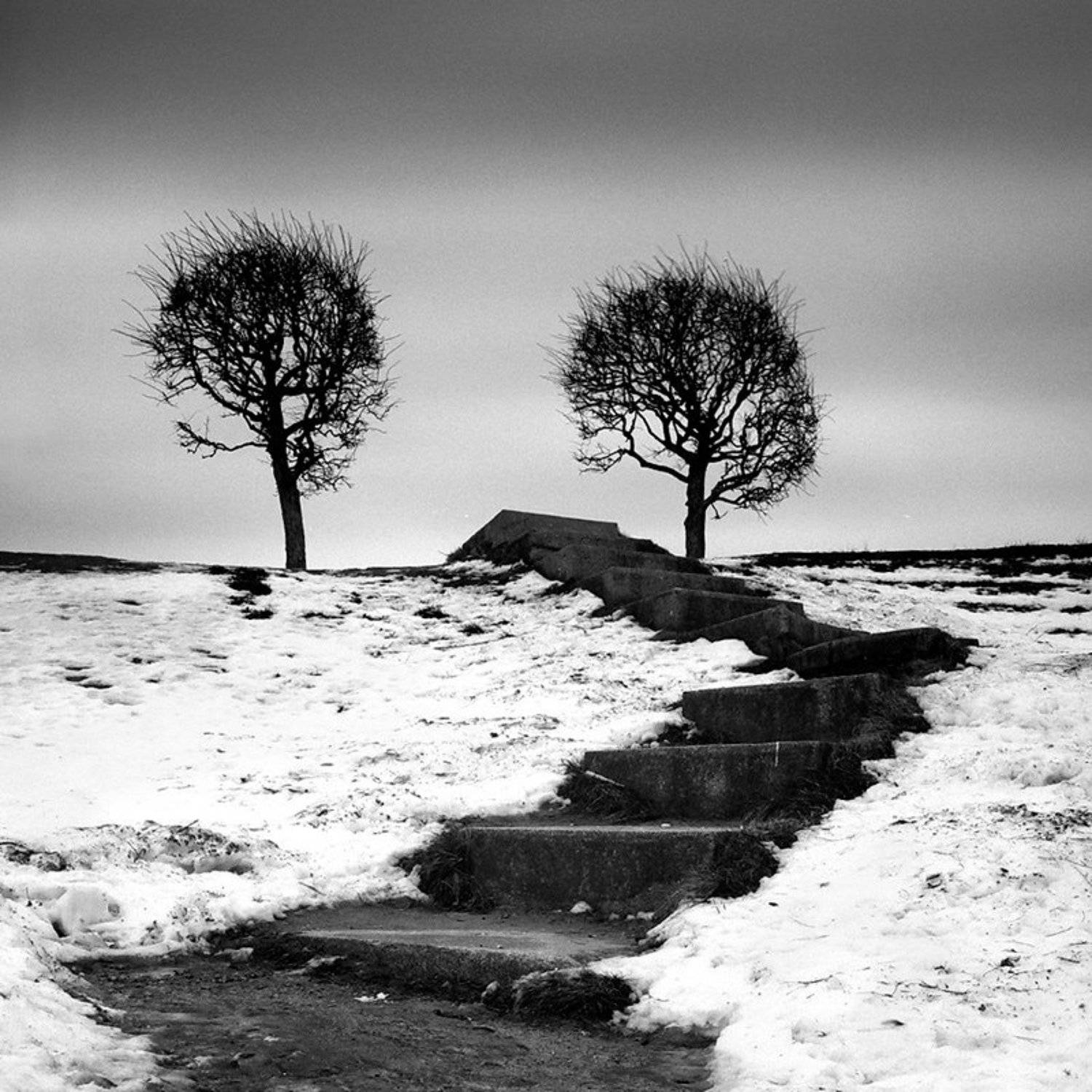 , Токарь Дмитрий