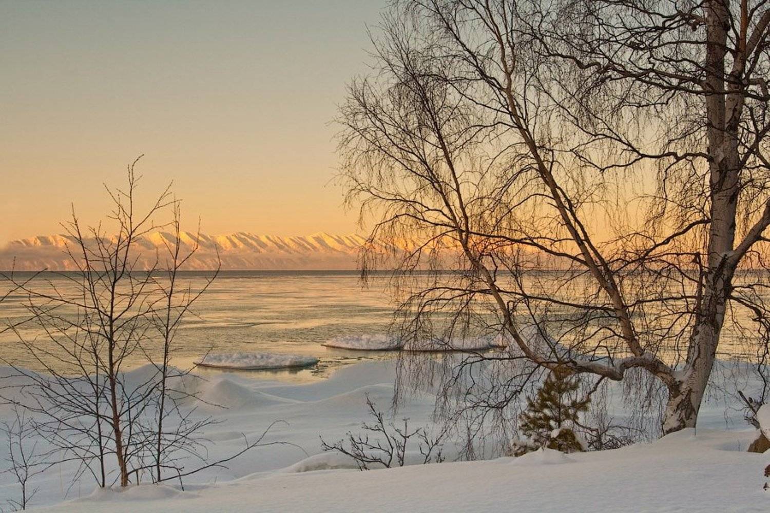 бурятия, байкал, зима, лед, мыс, святой нос, деревья, Олег Шубаров
