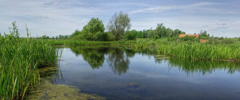 Торфянка фото превью