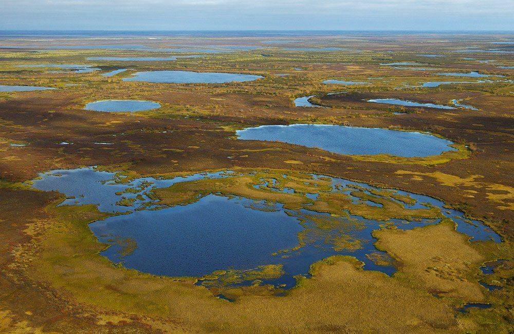 осень, природа, север, тундра, Danil Husainov