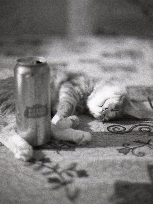 Film_1 фото превью