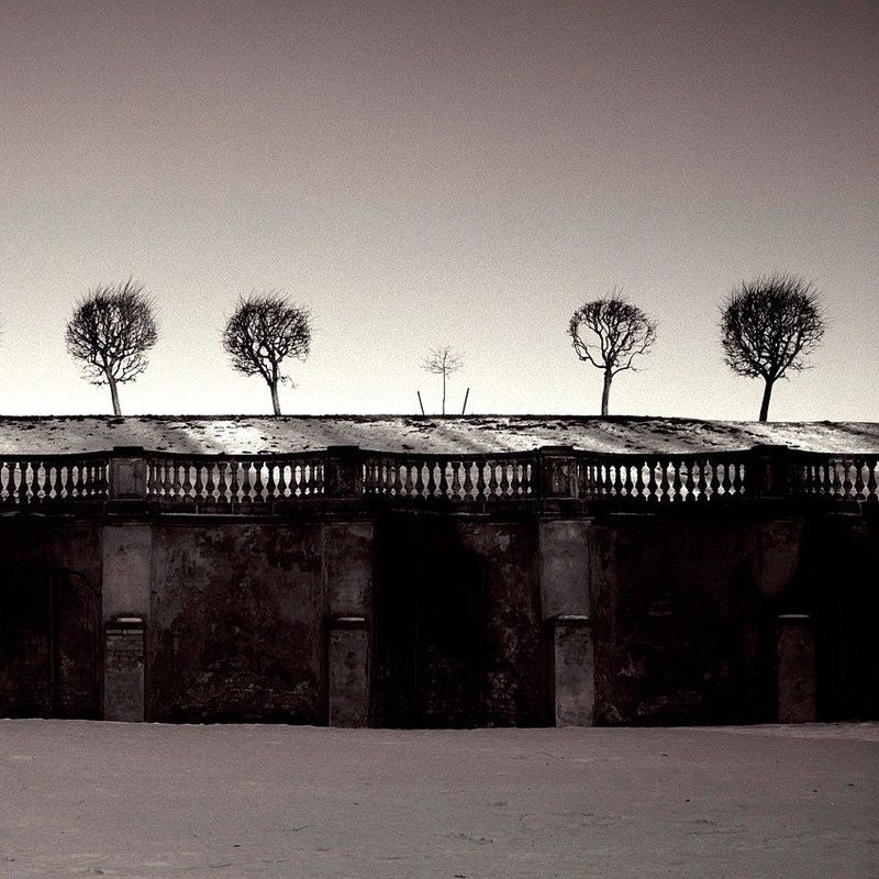 4+1 фото превью