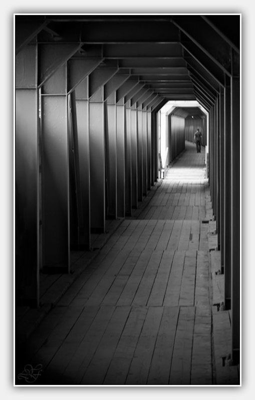 город, полосатая, жизнь, лукьяненко Жизнь полосатая... фото превью