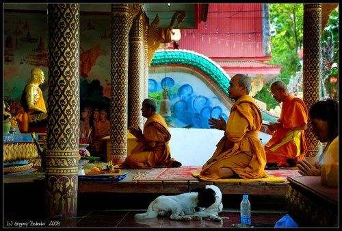 из серии # Cны о Тайланде #