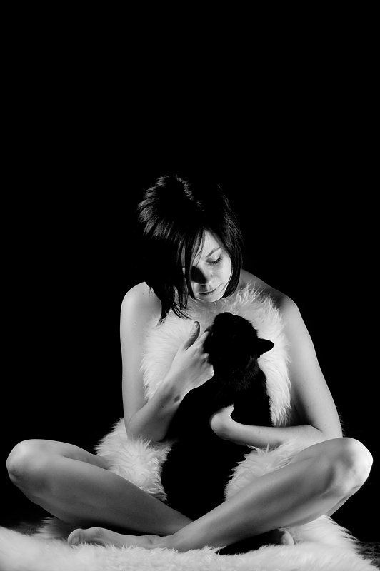 Кошки фото превью