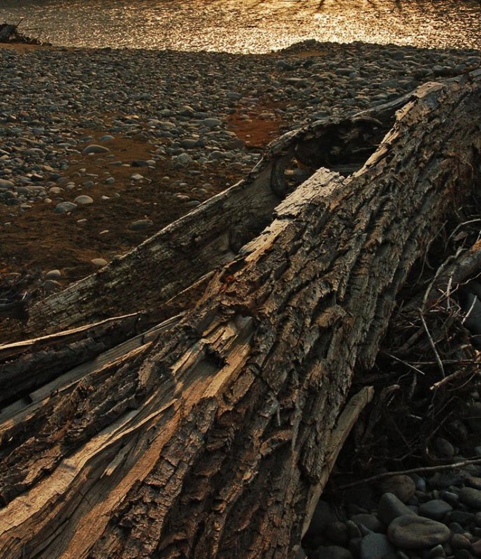 реинкарнации не будет фото превью