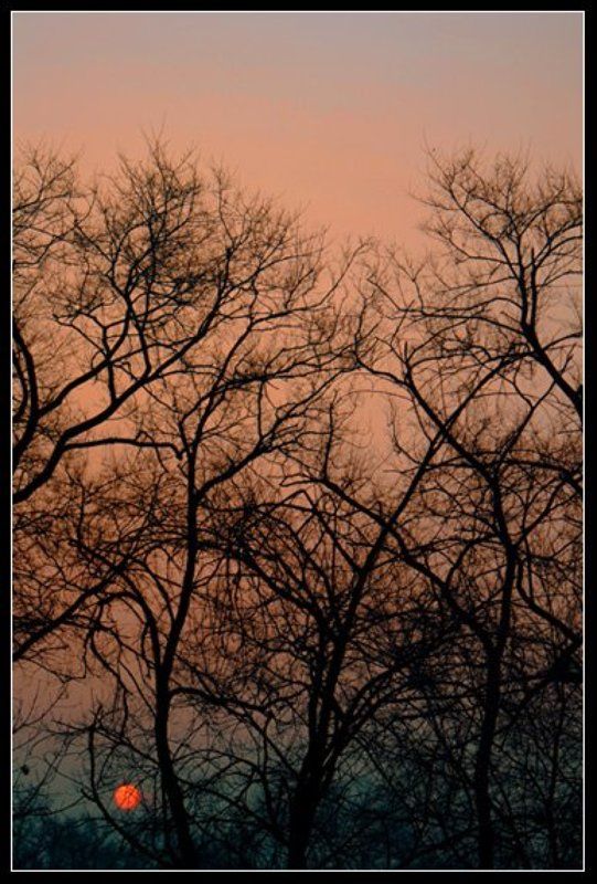 восход, зима Восход. фото превью