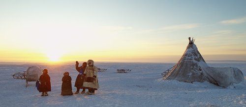 прилетайте ещё..