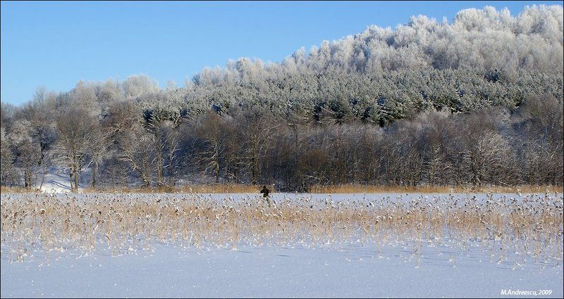 зима, снег, иней, озеро, камыш, рождество, природа Я всем расскажу, что приходила зима фото превью