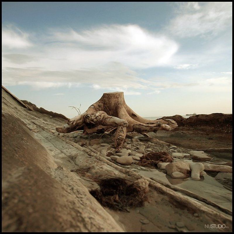 ** фото превью