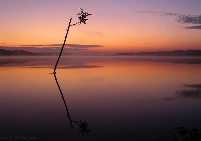 Начало фото превью
