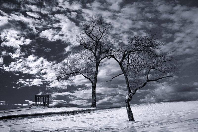 , Лямеборшай Валерия