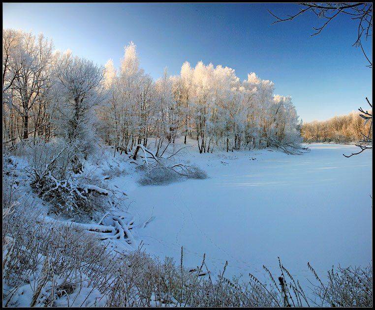 , Алексей Строганов